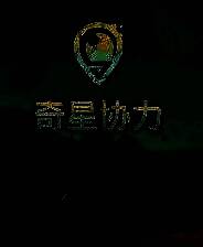 《奇星协力》免安装中文版