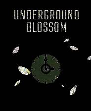 《地铁繁花》官方版