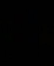 《摩纳哥2》汉化版免安装