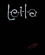 《莱拉日记》中文版