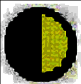 慧石围棋电脑版