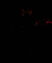 《Erannorth Renaissance》电脑版