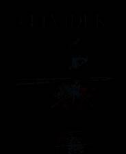 《费尔维代克》 v20250531升级档+未加密补丁[TENOKE]