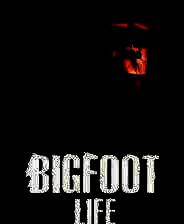 《Bigfoot Life》电脑版