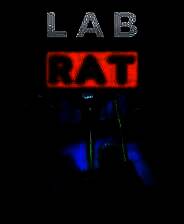 《实验室老鼠》 v1.3.3升级档+未加密补丁[TENOKE]