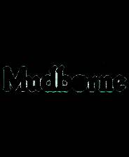 《Mudborne》电脑版