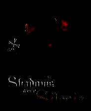 《1428：西里西亚上空的阴影》 v1.1.37升级档+未加密补丁[I_KnoW]