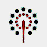 周末去哪儿 V6.0.2