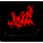 Awesome Duplicate Photo Finderv1.2