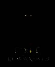 《FATE: Reawakened》电脑版