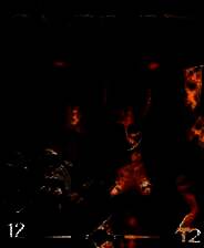 《圣域：魔都魅影》免安装中文版