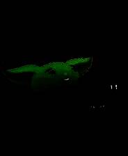 《龙堂轶事：刷刷聊聊》中文版