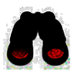 p2psearcher种子搜索神器v8.02