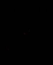 《圣杯誓约》v0.52.2.0.675 六项修改器[3DM]