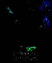 《Immortal Hunters》免安装汉化版