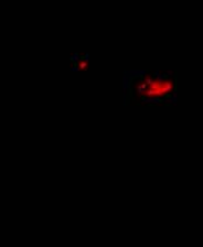 《猜猜我是谁》游戏库