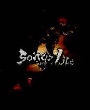 《浮生游歌》官方版