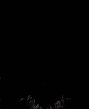 《墙壁呼吸之处》免安装中文版