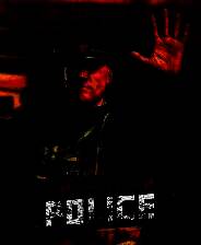 《缉私警察》 v10.6.3升级档+未加密补丁[TENOKE]