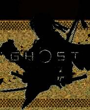 《对马岛之魂》中文版