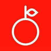 柚子练琴 V1.10.3