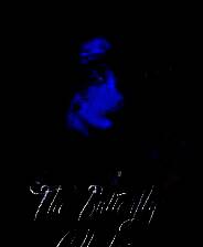 《蝴蝶收藏家》游戏库