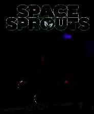 《星空之芽》游戏库