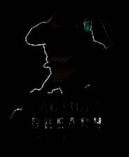 《战术突破巫师》 v20250501升级档+未加密补丁[TENOKE]