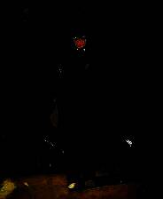 《丰裕之角 不可思议之物居住的小镇》游戏库