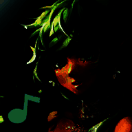 诺亚之瓶 安卓版 V2.53