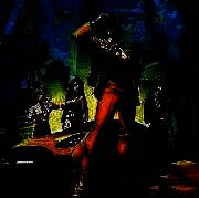 我的快递人生 最新版免广告版 V1.0