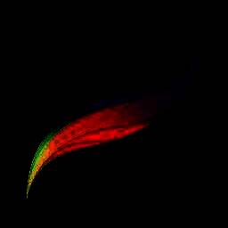 procreate 官方下载安卓版 V1.7.1