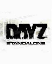 《Dayz》电脑版
