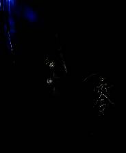 《零 ～月蚀的假面～》官方版