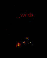 《星际拓荒》电脑版