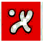 飞鸽传书v5.1.200924