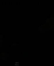 《Ropuka's Idle Island》免安装