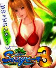 《性感海滩3》游戏库