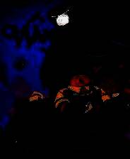 《Wanderstop》游戏库