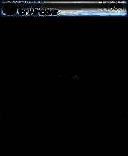 《雨血：迷镇》简体中文免安装版