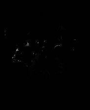 《赛科诺逃脱之式》官方版