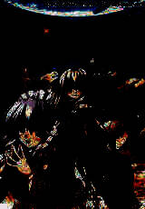 《伊甸园 》单机版