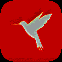 HttpCanary 抓包工具 Vrelease-0.3