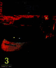 《模拟火车2015》简体中文免安装版