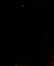 《作家：第一章》免安装汉化版