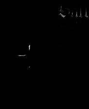 《盐和避难所》电脑版