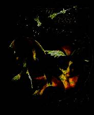 《魔幻骑士》繁体中文免安装版