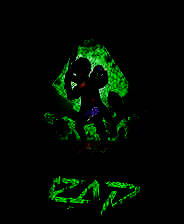 《RAD》英文免安装版