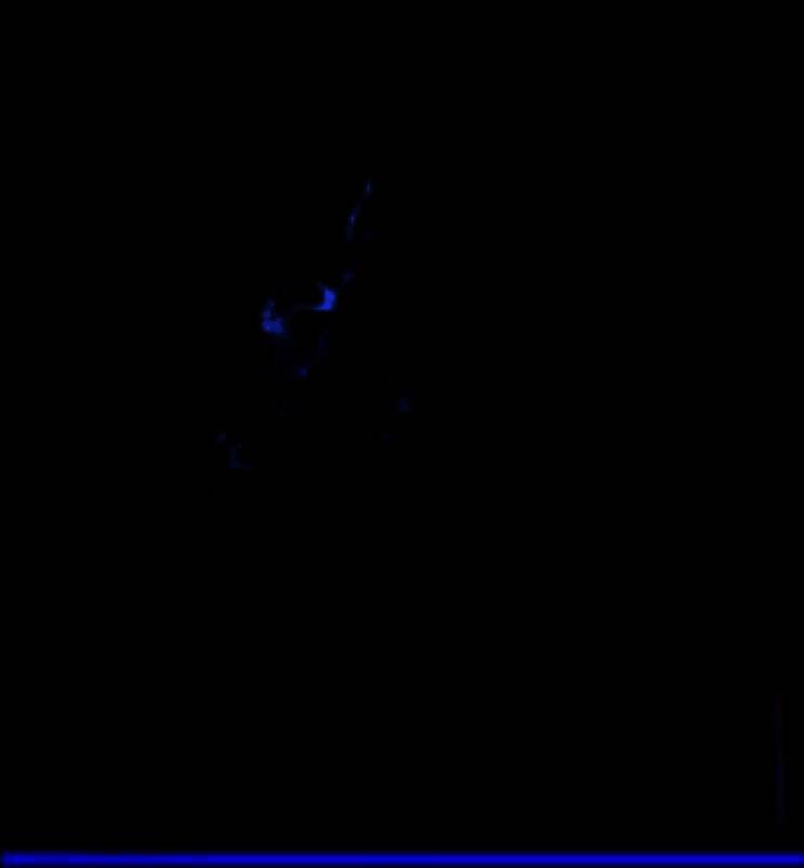 闪光盾弱网 13.0下载 V13.0