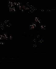 《花坊大亨》英文免安装版